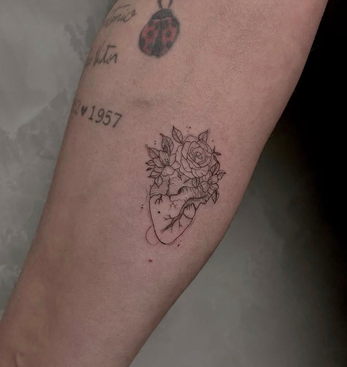 Trabalho da Dayanne 3