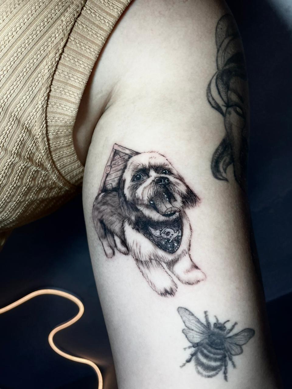 Trabalho da Giovana 3