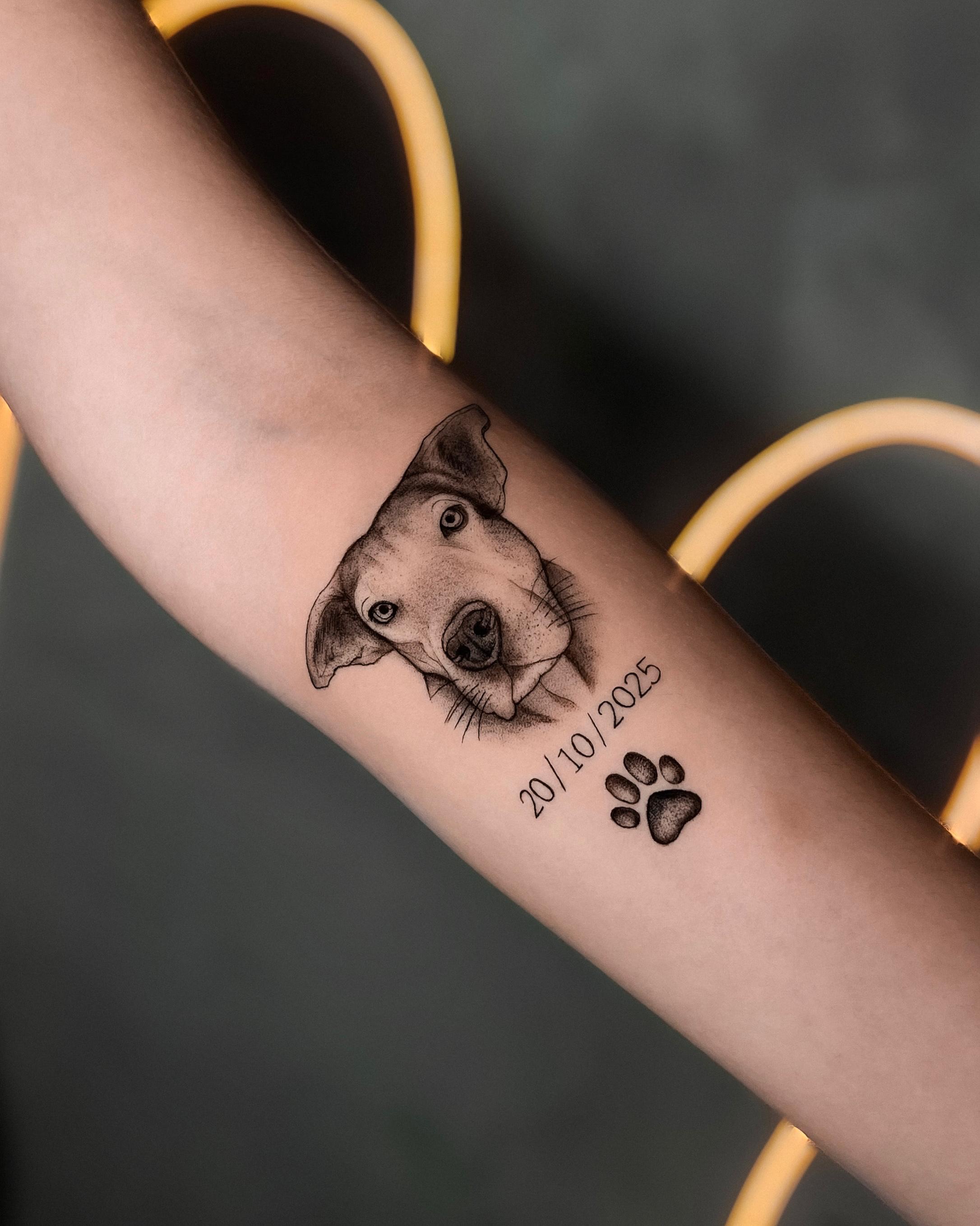 Trabalho da Beatriz 2