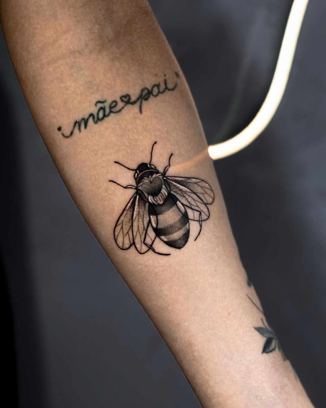 Trabalho do Matheus 1