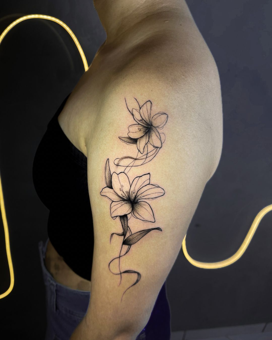 Trabalho do Matheus 4