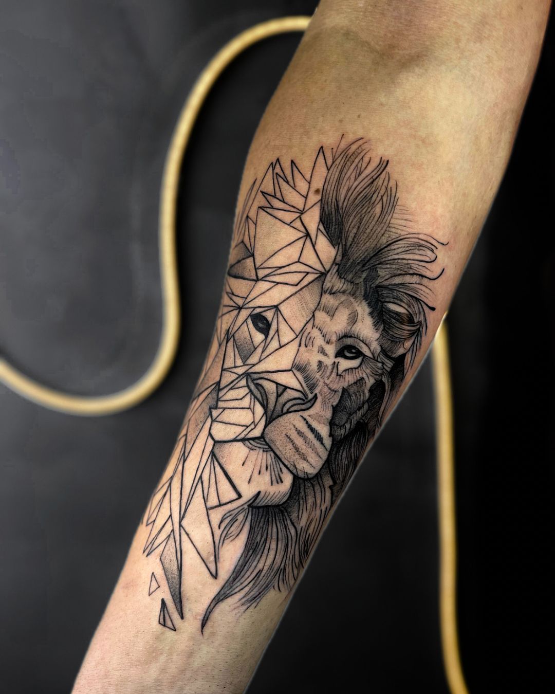 Trabalho do Matheus 5