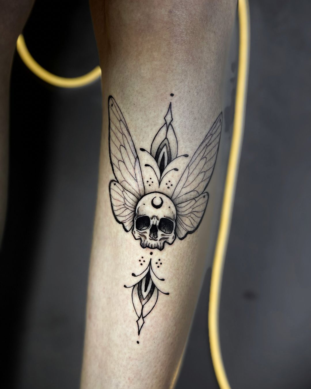 Trabalho do Matheus 7