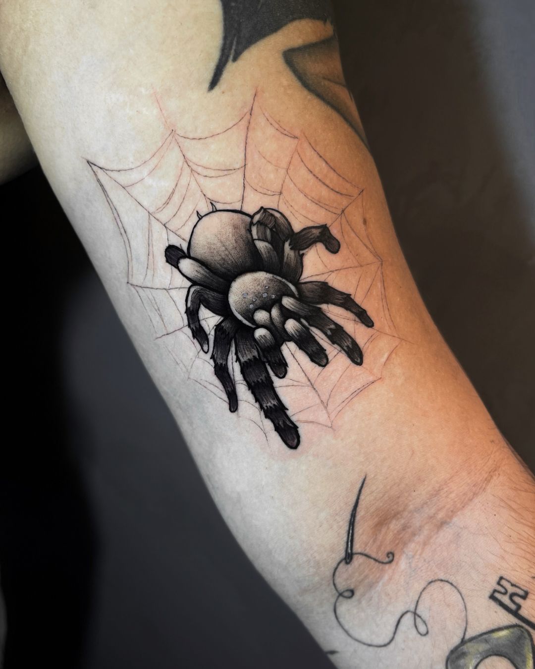 Trabalho do Matheus 8