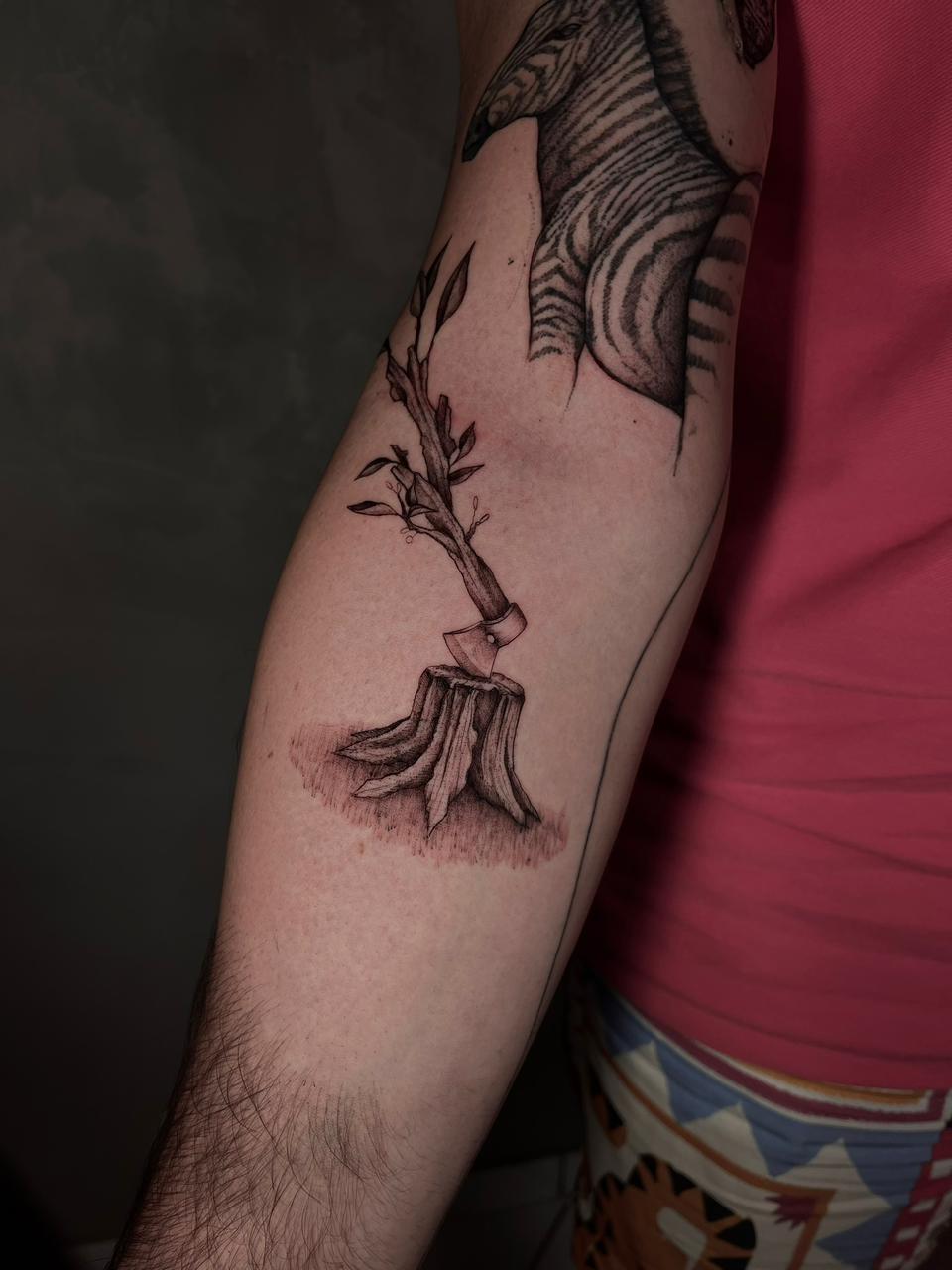 Trabalho do Souto 10